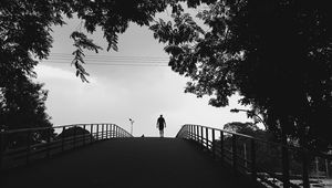 Preview wallpaper silhouette, trees, bw, walk, lonely, loneliness