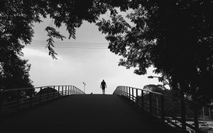 Preview wallpaper silhouette, trees, bw, walk, lonely, loneliness
