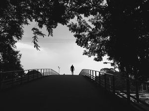 Preview wallpaper silhouette, trees, bw, walk, lonely, loneliness