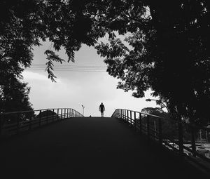 Preview wallpaper silhouette, trees, bw, walk, lonely, loneliness