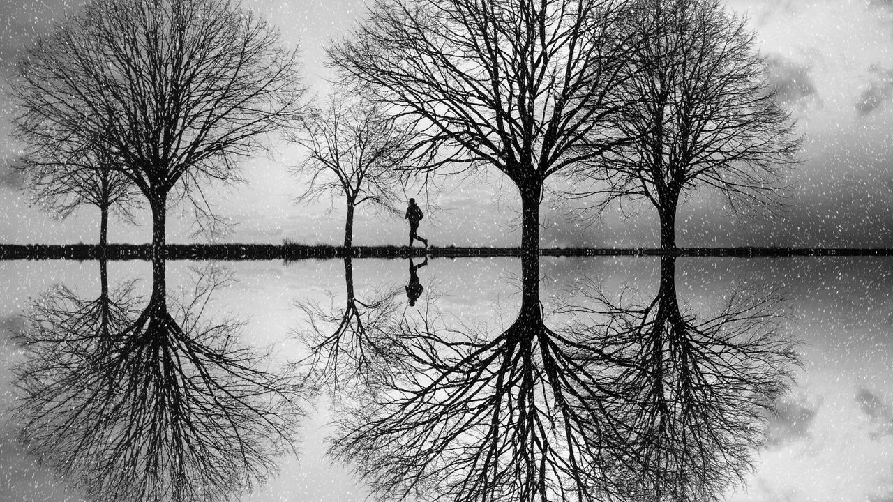 Wallpaper silhouette, trees, bw, reflection, water