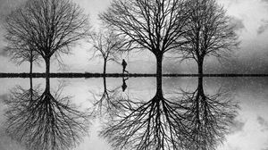 Preview wallpaper silhouette, trees, bw, reflection, water