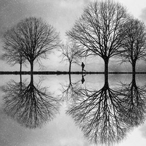 Preview wallpaper silhouette, trees, bw, reflection, water
