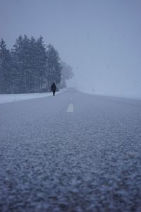 Preview wallpaper silhouette, winter, fog, snowstorm, snowfall, road