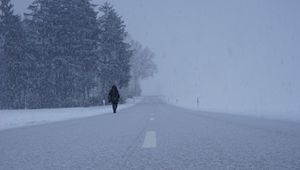 Preview wallpaper silhouette, winter, fog, snowstorm, snowfall, road