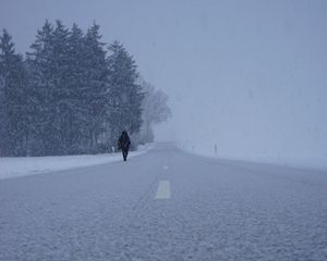 Preview wallpaper silhouette, winter, fog, snowstorm, snowfall, road