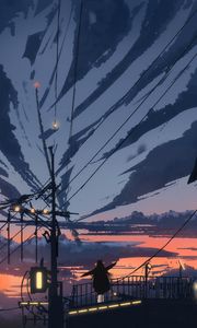 Preview wallpaper silhouette, wires, evening, art