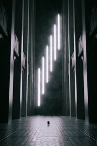 Preview wallpaper silhouettes, arches, neon, light, black and white, dark