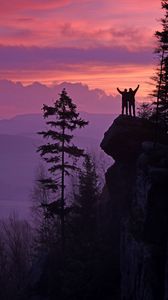 Preview wallpaper silhouettes, cliff, sunset, mountains, trees