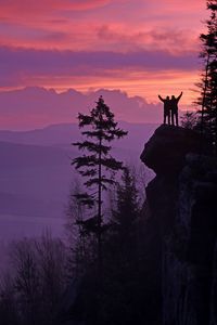 Preview wallpaper silhouettes, cliff, sunset, mountains, trees