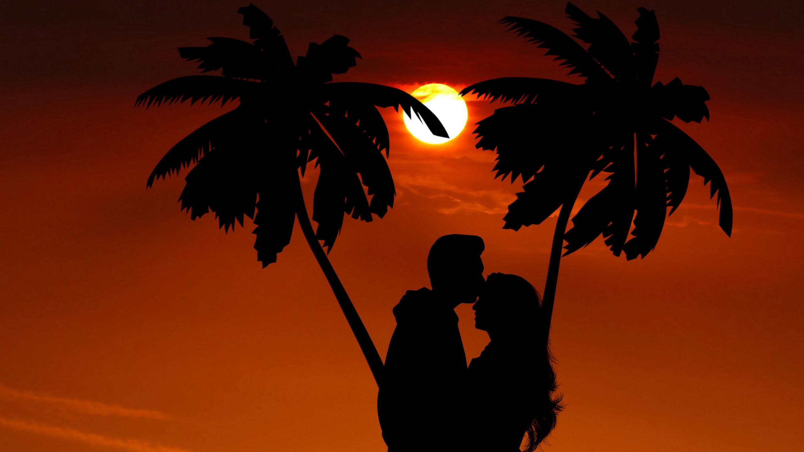 Download wallpaper 2560x1440 silhouettes, couple, hug, palm, night ...