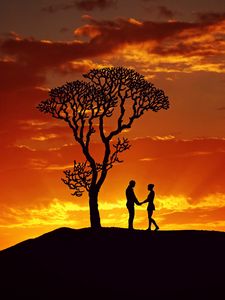 Preview wallpaper silhouettes, couple, love, sunset, tree