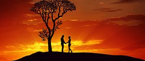 Preview wallpaper silhouettes, couple, love, sunset, tree