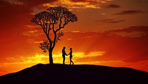 Preview wallpaper silhouettes, couple, love, sunset, tree