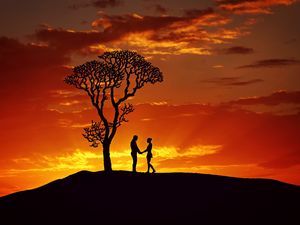 Preview wallpaper silhouettes, couple, love, sunset, tree