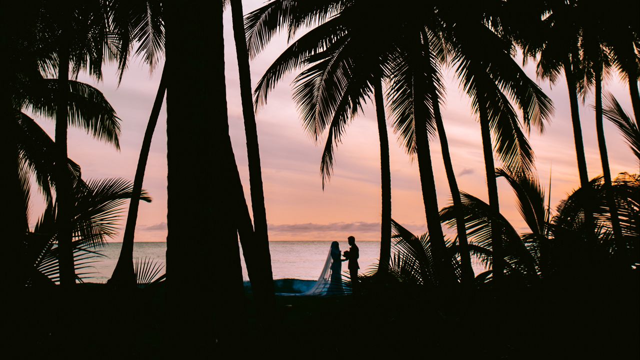 Wallpaper silhouettes, couple, palm, love, wedding