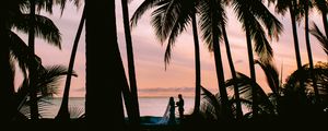 Preview wallpaper silhouettes, couple, palm, love, wedding