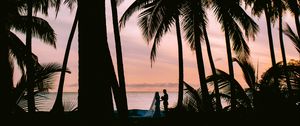 Preview wallpaper silhouettes, couple, palm, love, wedding