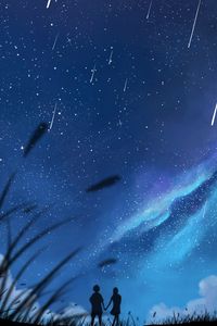 Preview wallpaper silhouettes, couple, stars, grass, art