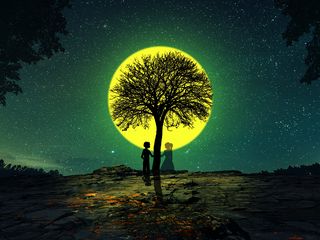 320x240 Wallpaper silhouettes, love, tree, night