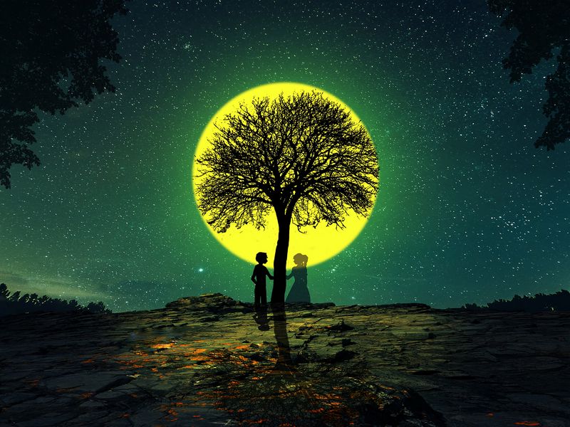 800x600 Wallpaper silhouettes, love, tree, night