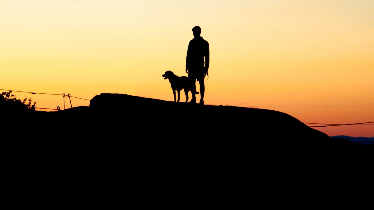 Wallpaper silhouettes, man, dog, sunset, hill