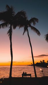 Preview wallpaper silhouettes, palm trees, sunset, tropics, romance