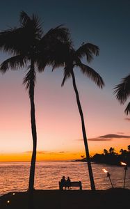 Preview wallpaper silhouettes, palm trees, sunset, tropics, romance