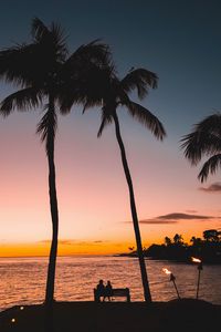 Preview wallpaper silhouettes, palm trees, sunset, tropics, romance