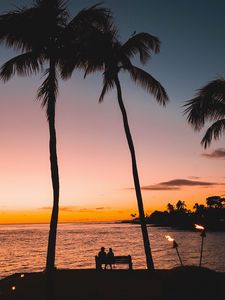 Preview wallpaper silhouettes, palm trees, sunset, tropics, romance