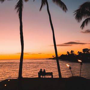Preview wallpaper silhouettes, palm trees, sunset, tropics, romance