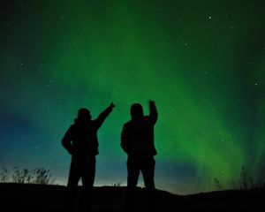 Preview wallpaper silhouettes, starry sky, night