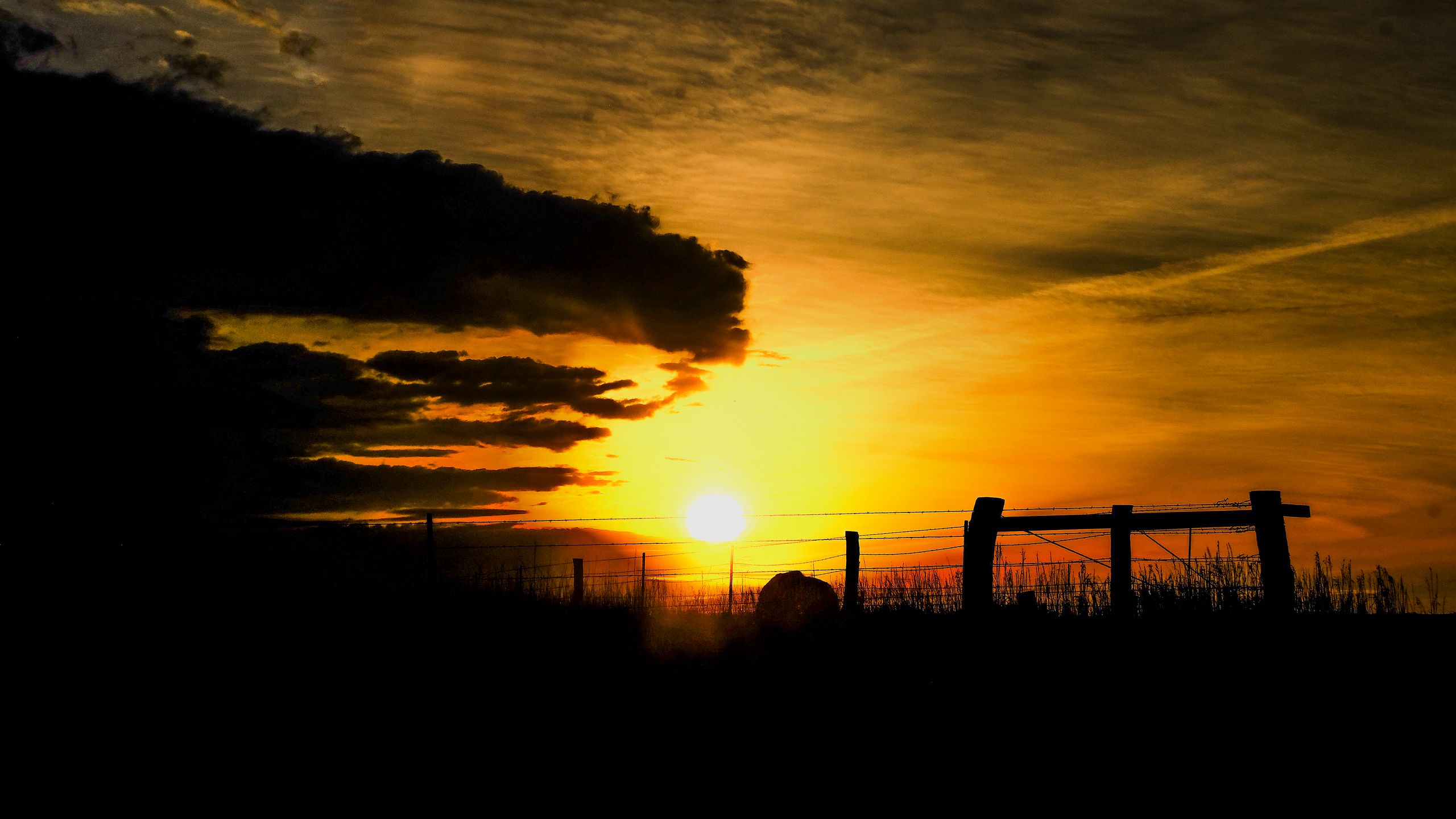 2560x1440 Wallpaper silhouettes, sun, clouds, sky, sunset, dark, landscape