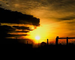 Preview wallpaper silhouettes, sun, clouds, sky, sunset, dark, landscape