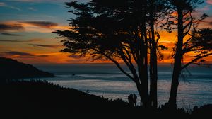 Preview wallpaper silhouettes, sunset, tree, sea