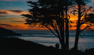 Preview wallpaper silhouettes, sunset, tree, sea