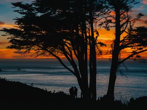 Preview wallpaper silhouettes, sunset, tree, sea