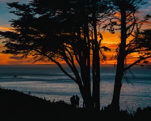Preview wallpaper silhouettes, sunset, tree, sea