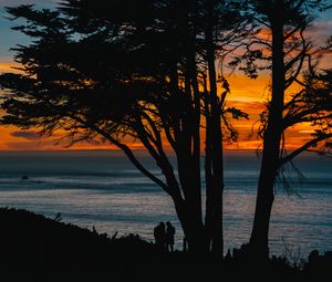 Preview wallpaper silhouettes, sunset, tree, sea