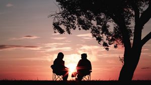 Preview wallpaper silhouettes, sunset, tree, sun, rays