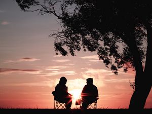 Preview wallpaper silhouettes, sunset, tree, sun, rays