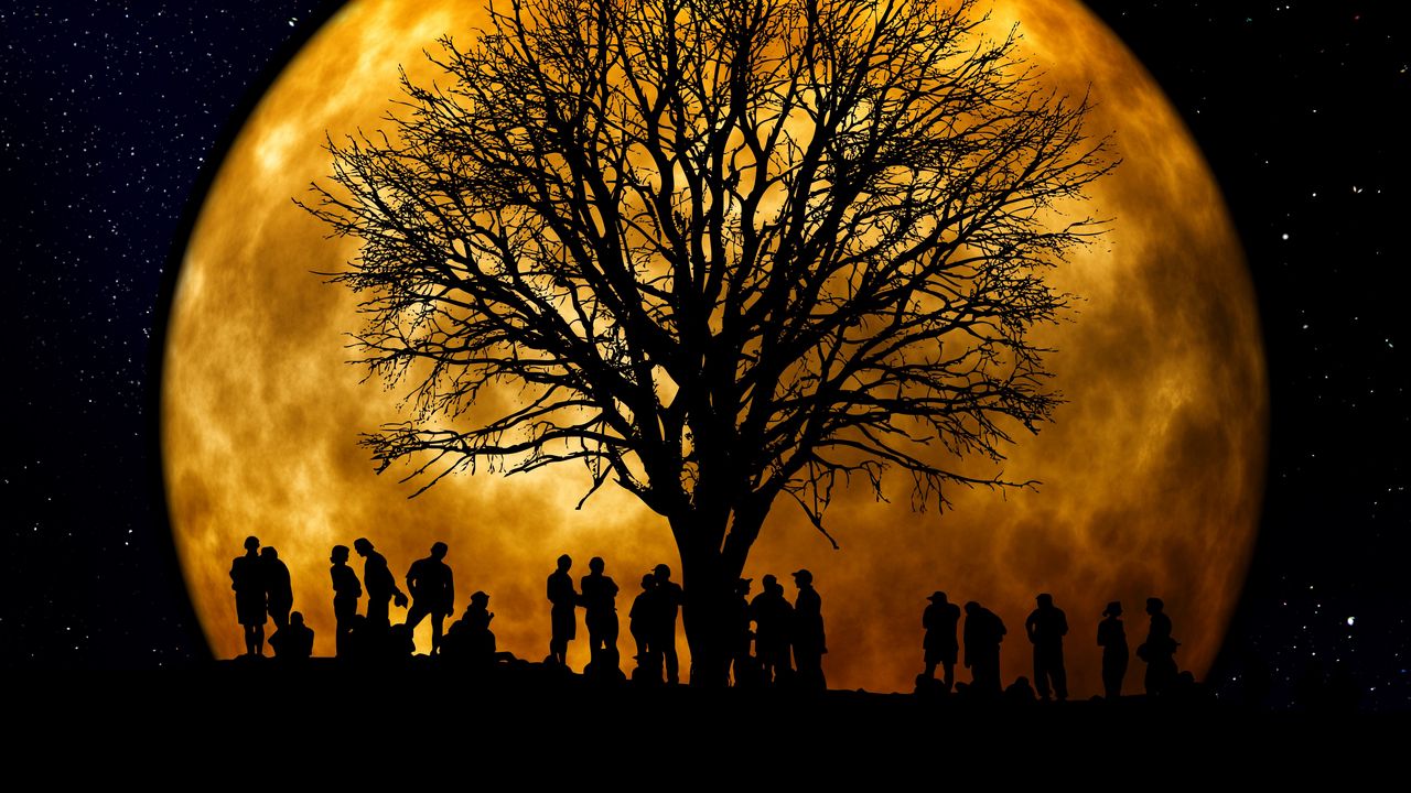 Wallpaper silhouettes, tree, people, moon, night