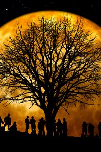 Preview wallpaper silhouettes, tree, people, moon, night