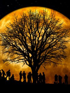 Preview wallpaper silhouettes, tree, people, moon, night