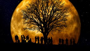 Preview wallpaper silhouettes, tree, people, moon, night