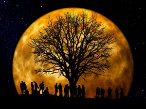 Preview wallpaper silhouettes, tree, people, moon, night