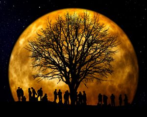 Preview wallpaper silhouettes, tree, people, moon, night