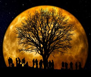 Preview wallpaper silhouettes, tree, people, moon, night