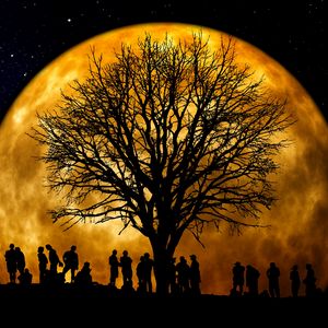 Preview wallpaper silhouettes, tree, people, moon, night
