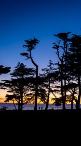 Preview wallpaper silhouettes, trees, horizon, dark